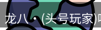龙八头号玩家